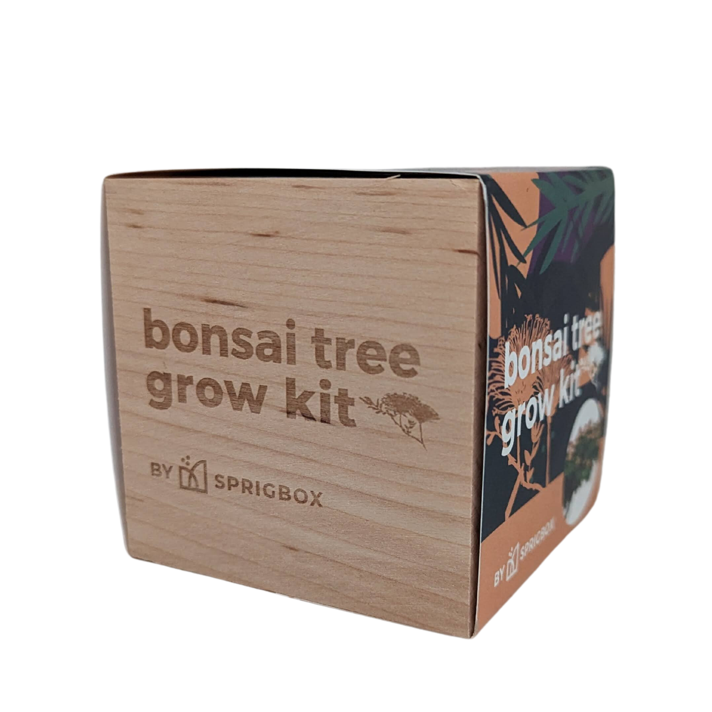 Sprigbox - Wholesale DIY Craft Kit - Bonsai Tree Grow Kit | Wooden Planter Box | Indoor Gardening3