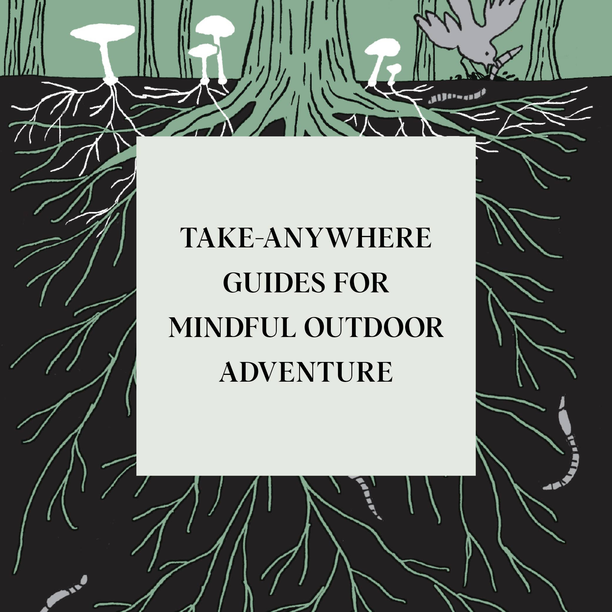 Chronicle Books - Wholesale Nature & Outdoors - Pocket Nature: Mushroom Hunting3
