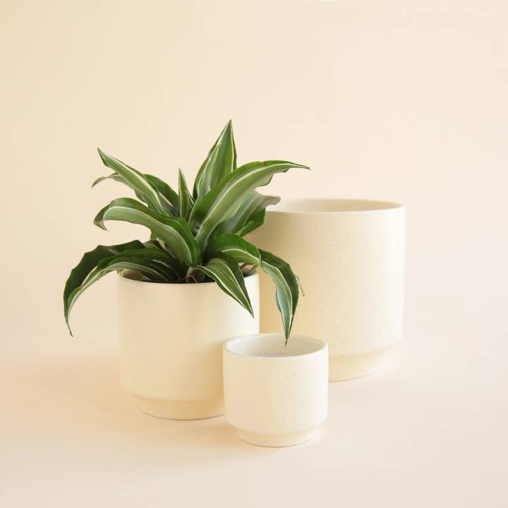 Jungle Club - Wholesale Plant Pot - Parker Planter | Vintage White Speckle