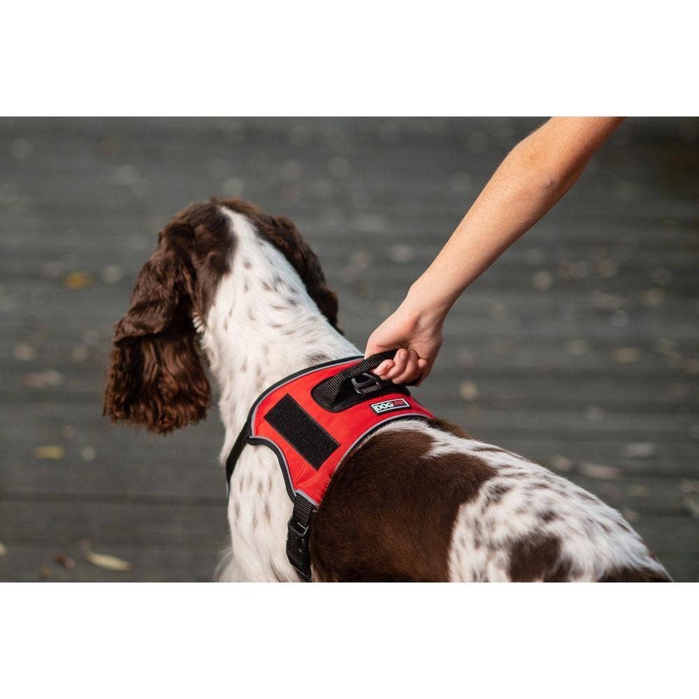 Dogline - Wholesale Pet Harness - Dog - Dogline Quest Multi-Purpose Dog Harness14