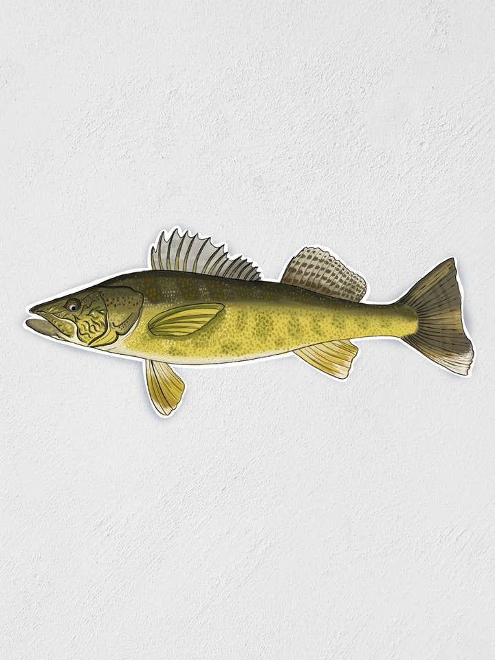 3” Walleye Sticker for wholesale by Little Rocks Design