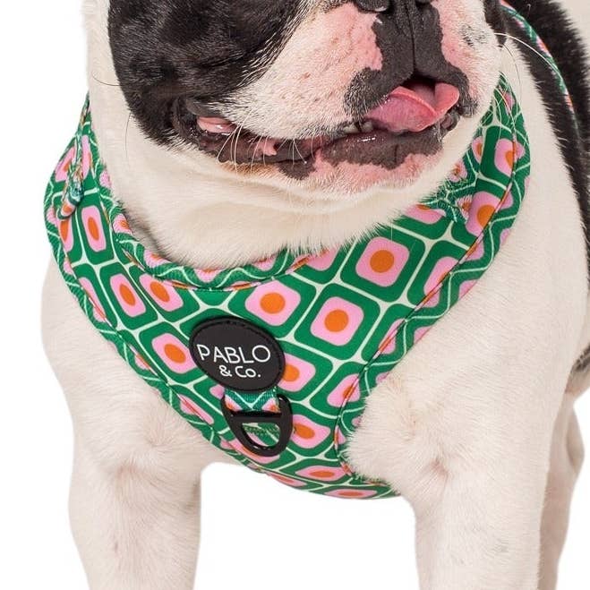 70's Style: Adjustable Dog Harness for wholesale by Pablo & Co. Boutique