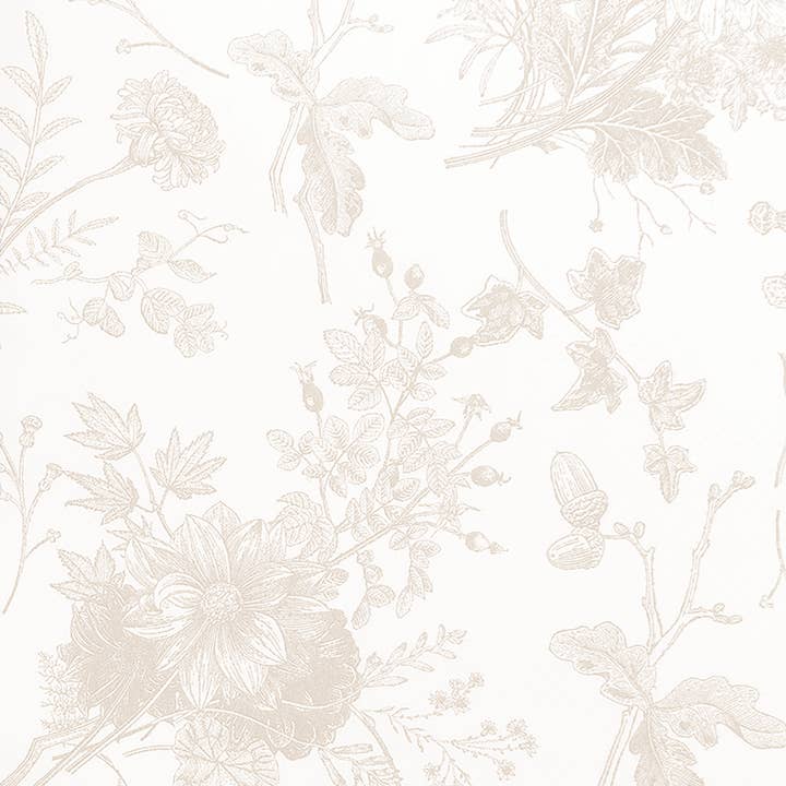 Serviettes Invité Sable Intemporel/20 unités pour la vente par Sophistiplate