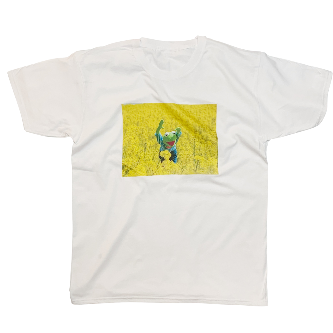 ZZZEBRAAA LIMITED - Wholesale Screen Printed T-Shirt - Unisex - Kermit the Frog T-Shirt Wholesome Meme for Summer0