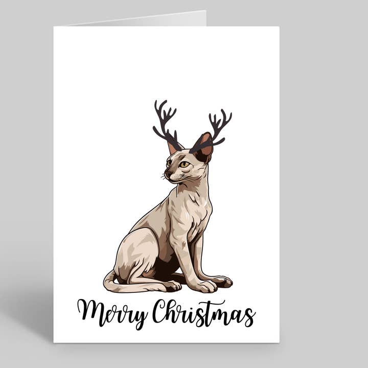 Set of 10 Sphynx Cat Christmas Cards - Envelopes Included for wholesale by We Are Positive Prints