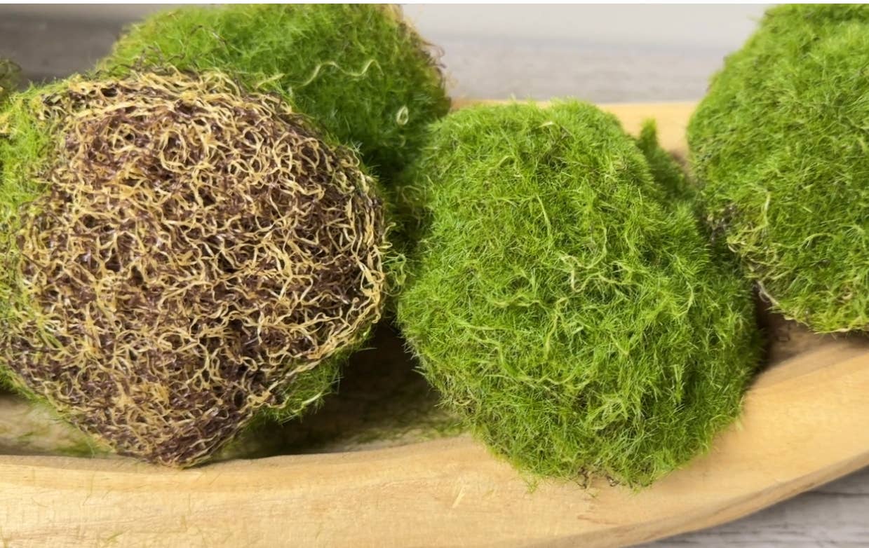Angel Isabella - Wholesale Artificial Plant - Pack of 6-Large Lifelike Mixed Sizes Artificial Moss ball4
