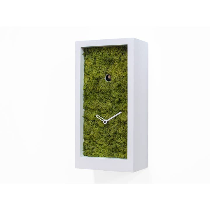 Amazon per la vendita all'ingrosso da parte di Progetti