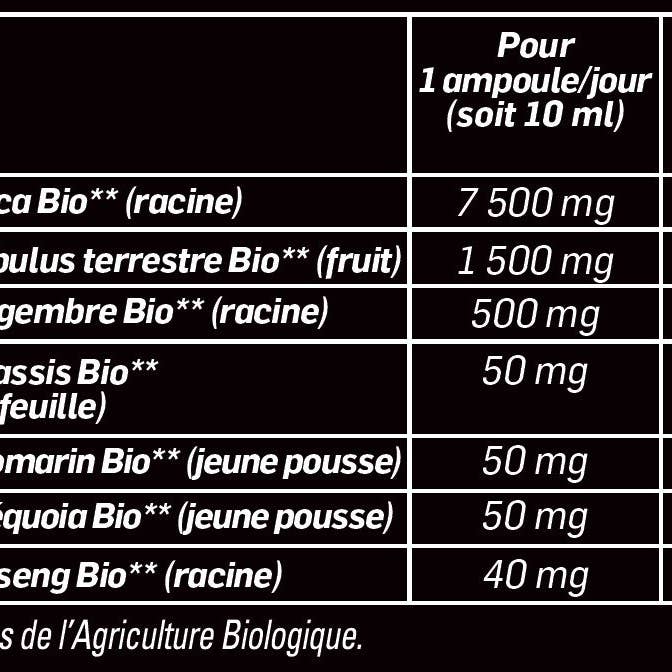 Maca 1500 Tribulus Ginseng met biologische gember voor wholesale door SANTAROME BIO