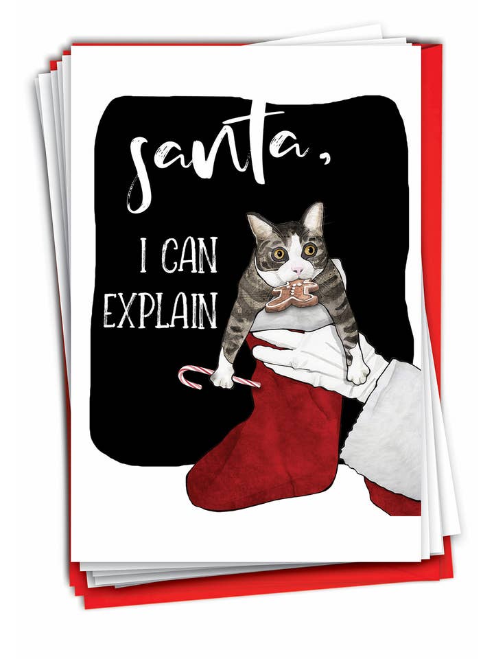 Box of 12 Christmas Card - Cat Explanation for wholesale by NobleWorks