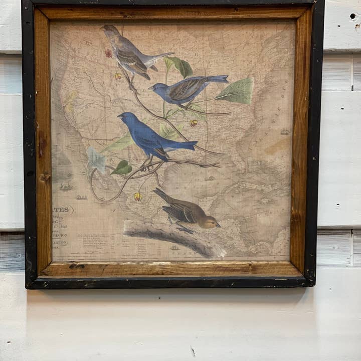 LAND OF COTTON - Wholesale Art print - Blue Birds Square Canvas Print