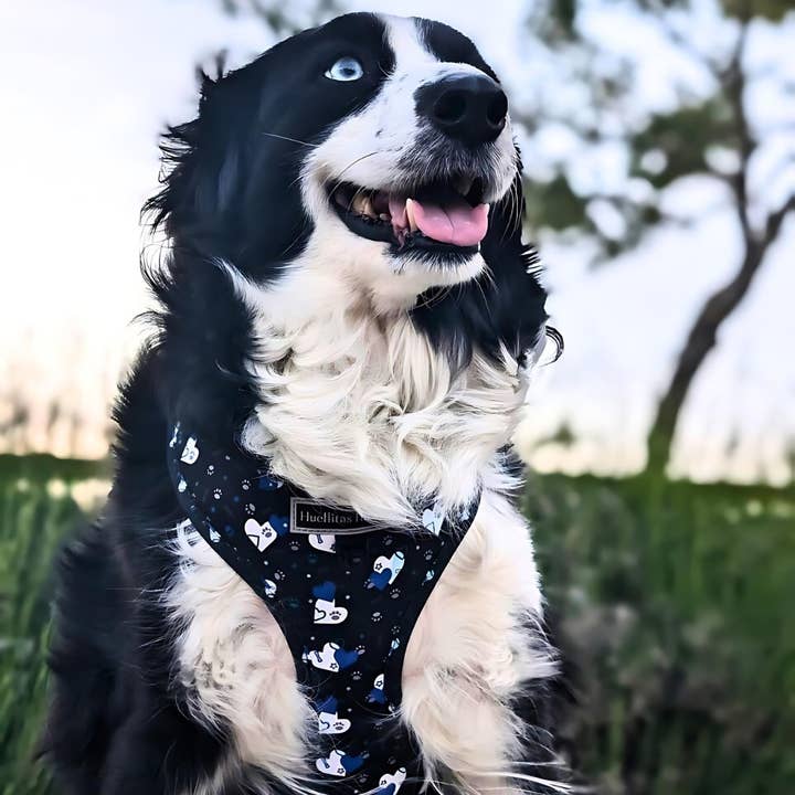 HUELLITAS INFINITAS - Wholesale Tuig voor huisdieren - Hond - Fantasy Hearts verstelbaar harnas4