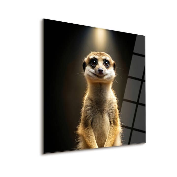 Suricata para venta al por mayor de NOXART LLC