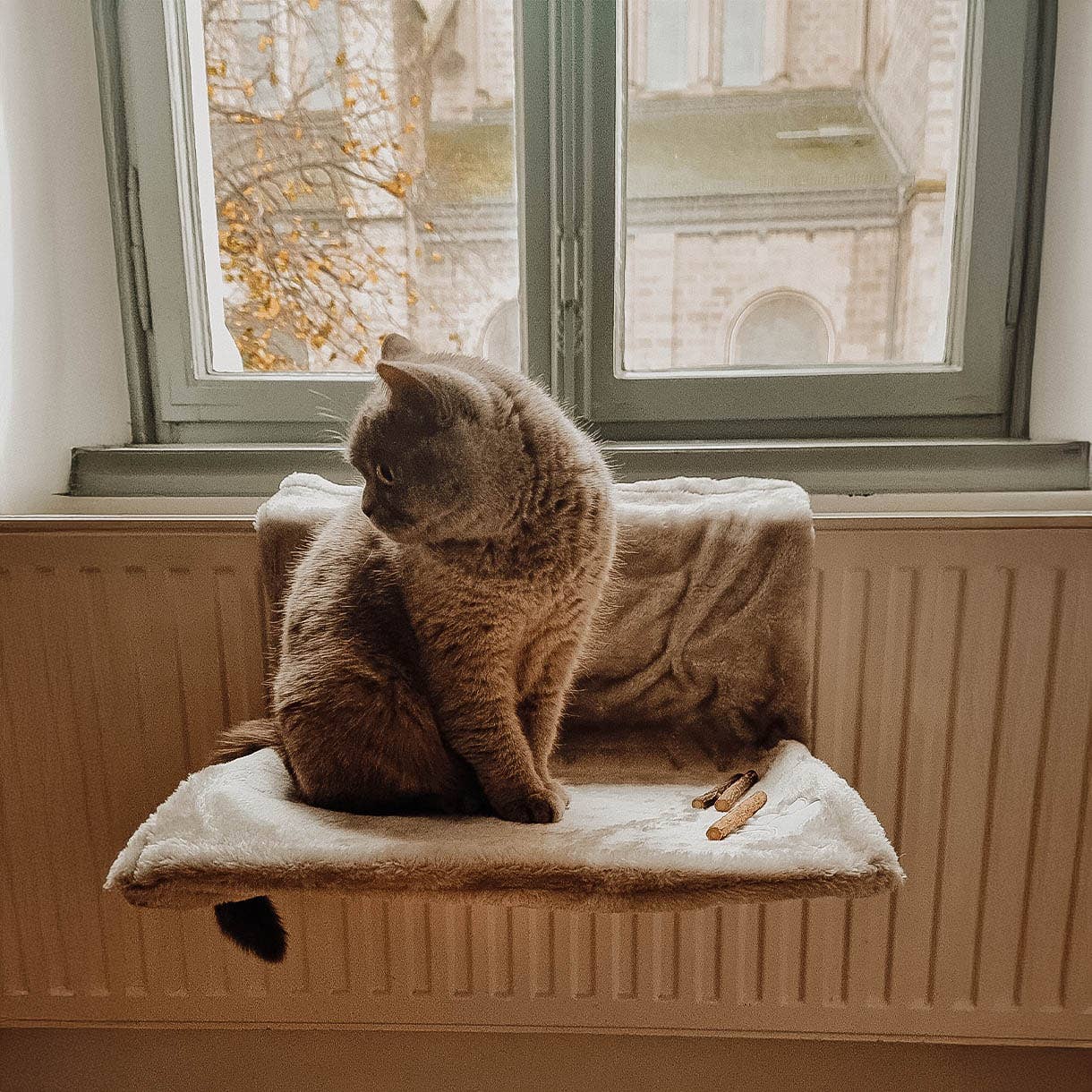 ne&no - Wholesale Pet Bed - Cat - ne&no® Cozy Radiator Bed for Cats - adjustable2