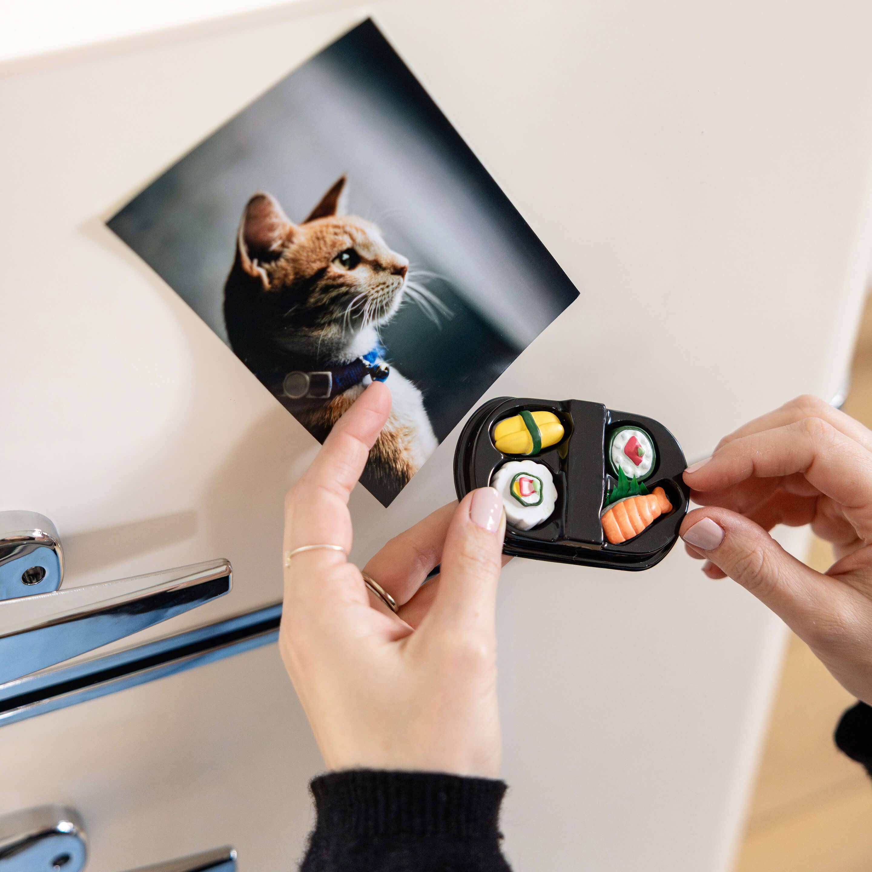 Three by Three Seattle - Wholesale Magnet - colorful SUSHI magnets ICONIC packaging s/41