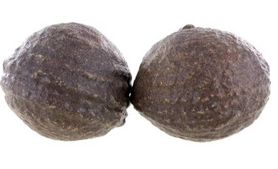 WLM - Vendita all'ingrosso Pietra/cristallo spirituale - Coppia di Moqui Grande Modello 3 cm0