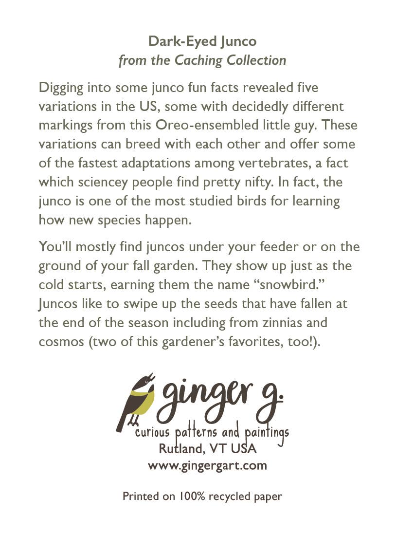 Ginger G. Art - Vente Carte de vœux classique - Carte de vœux vierge Junco - Birds A22