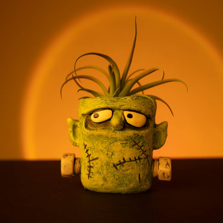 Cohasset Gifts - Wholesale Plant Pot - Frankie Monster Blobhouse Planter