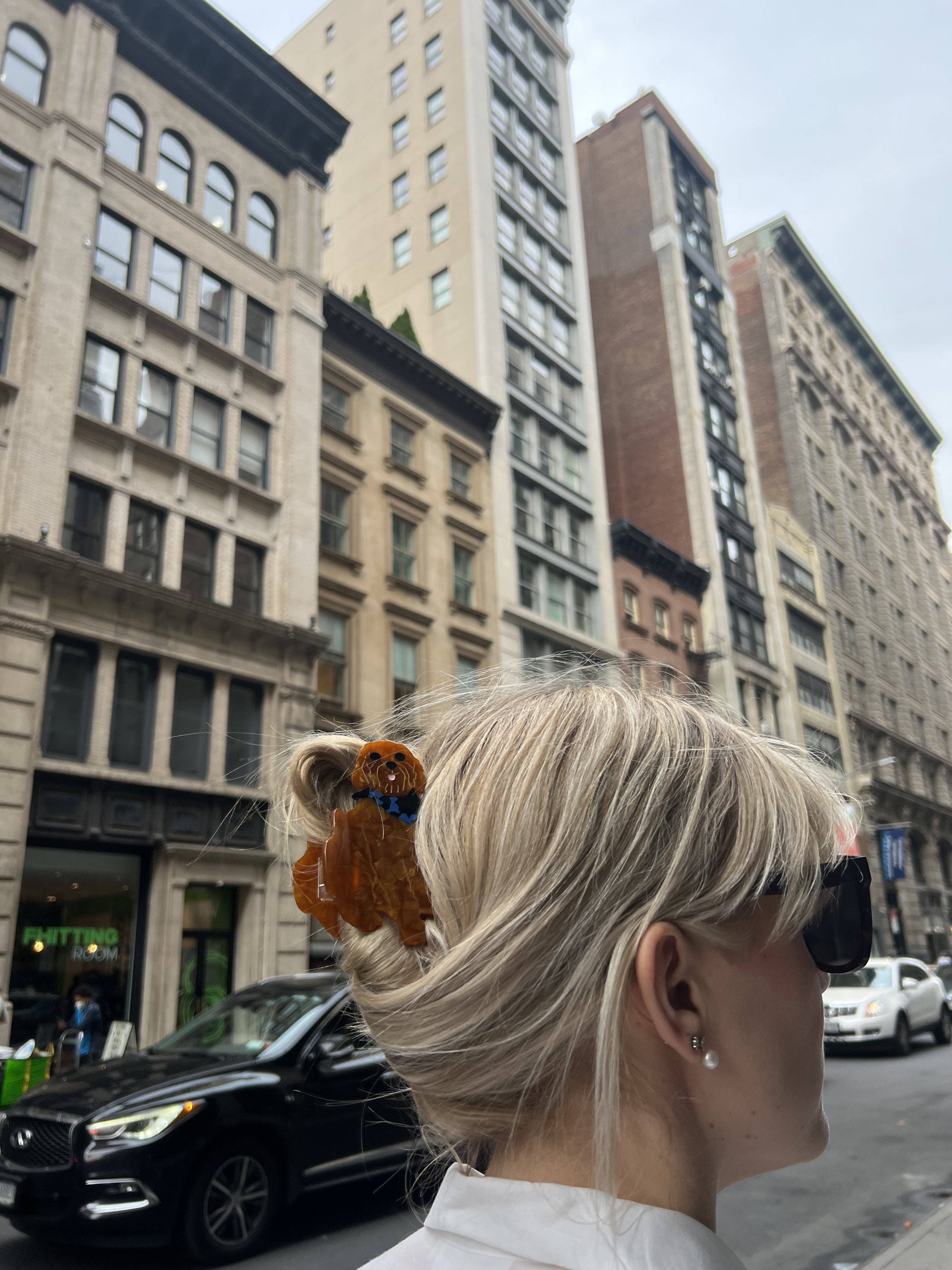 Solar Eclipse – wholesale Hårklämma - Dam – Handmålad hårklämma med Golden Doodle-hundmotiv | miljövänlig1