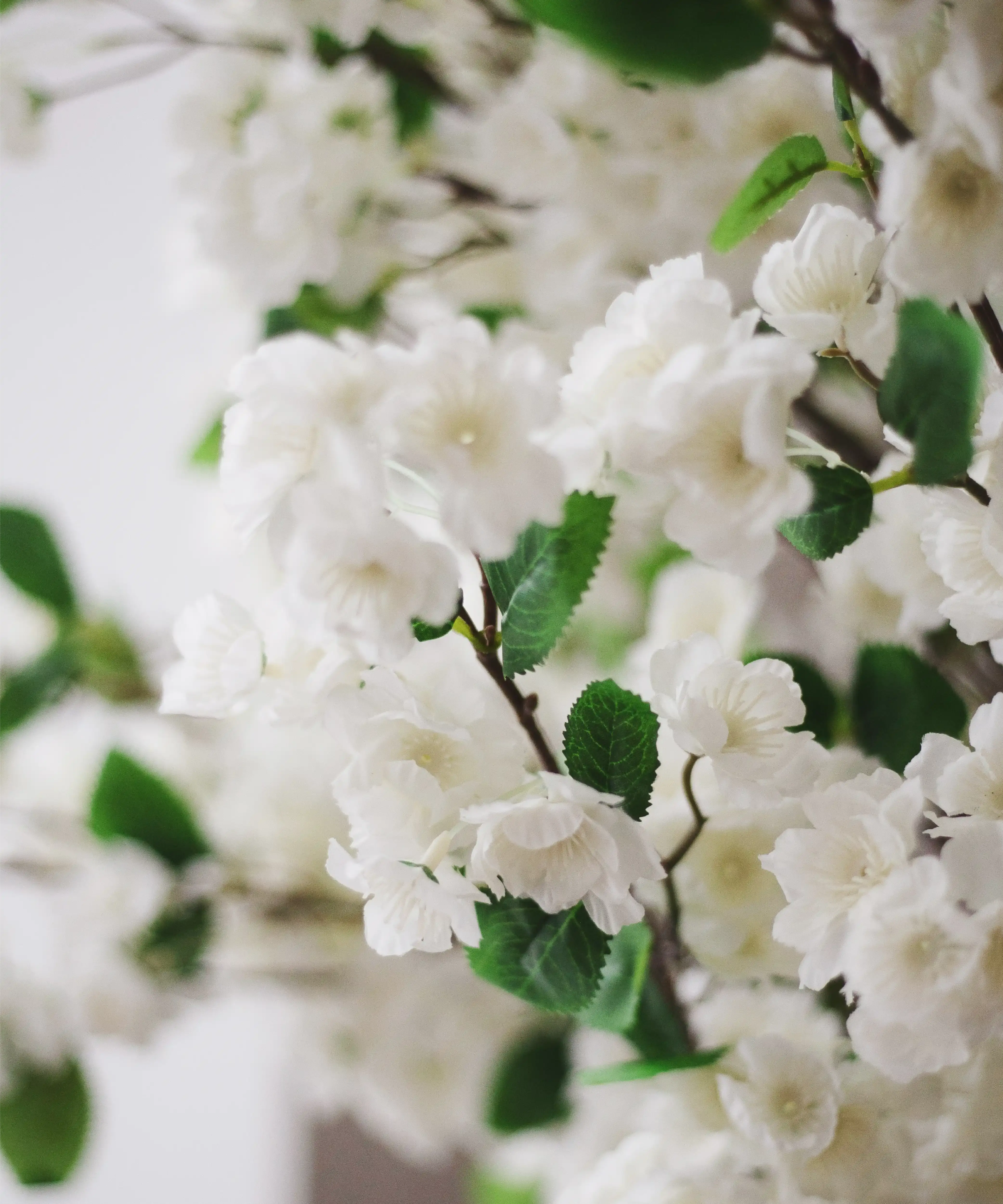 Maia Shop - Vendita all'ingrosso Piante artificiali - Mandorlo Artificiale 150 cm1