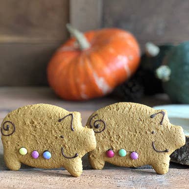 Lottie Shaw's – wholesale Biscuit – Gingerbread Parkin Pig, Box of 122