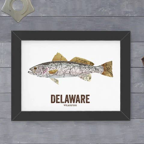 Delaware State Fish, Map Art- Weakfish for wholesale by Wooden Pencil Company