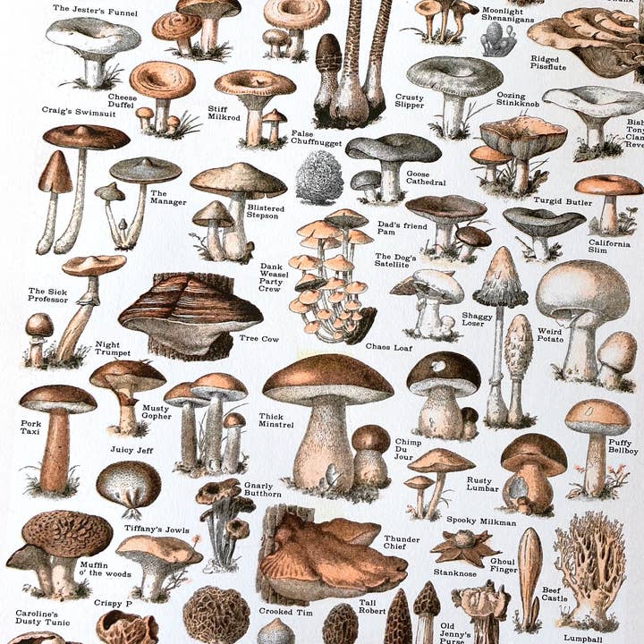 Arcane Bullshit - Wholesale Poster - "Common Mushrooms" Risograph Poster