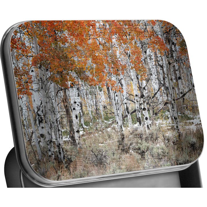 Tin, Gift Box & Treasure Keeper! Aspens, Orange over Sage for wholesale by Reflections of The Winds