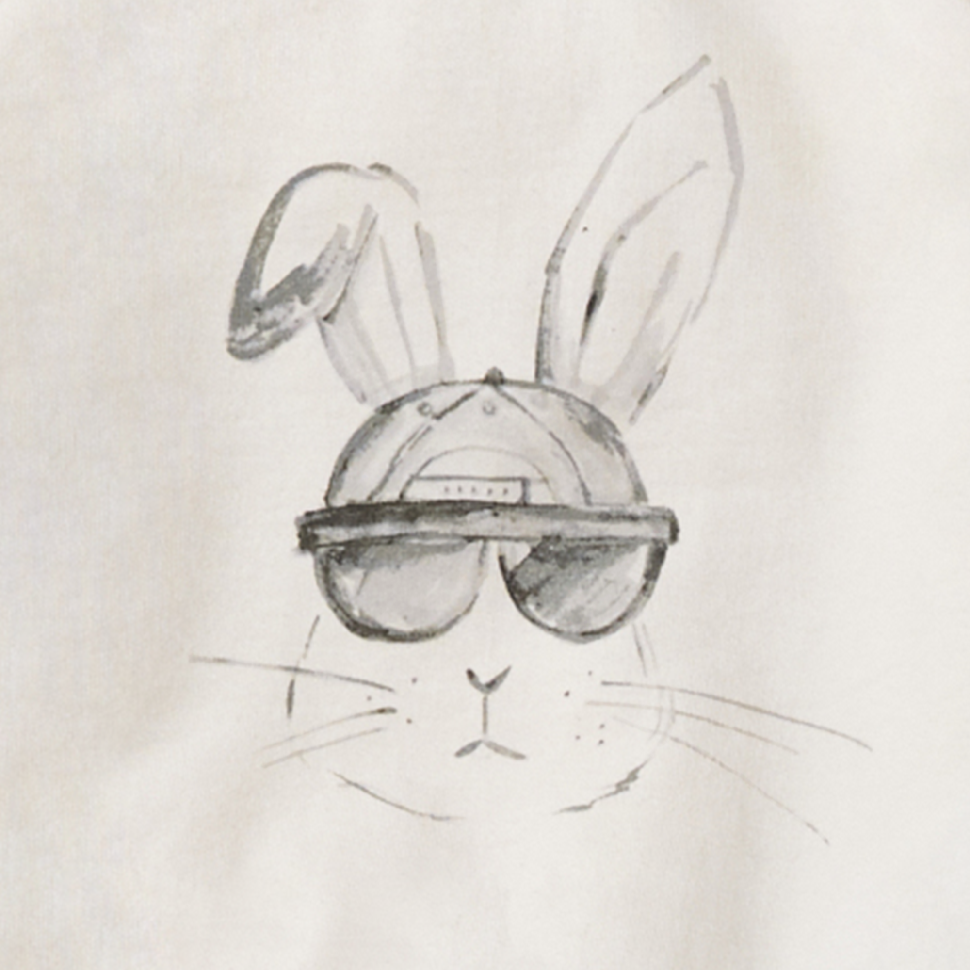 Burt's Bees Baby - Wholesale Top & Pant Set - Baby - Hip Hop Bunny Sweatshirt & Pants Set2