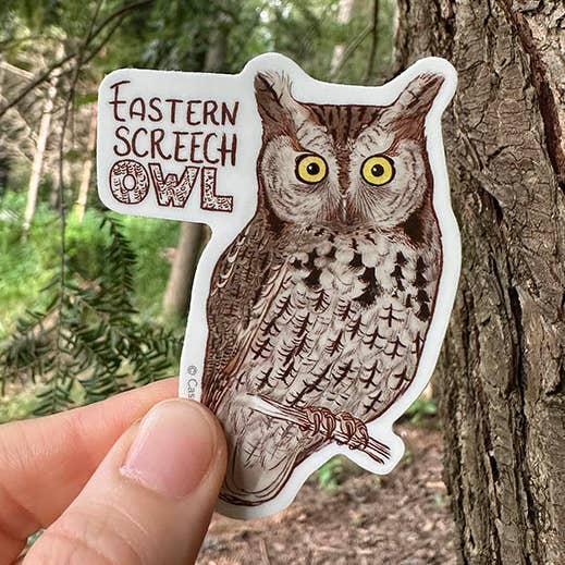 Eastern Screech Owl - Vinyl Sticker for wholesale by River Thrush Studio