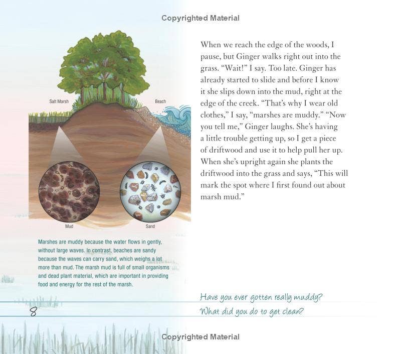 REMOVED BRAND - Wholesale Nature & Outdoors - And the Tide Comes In...: Exploring a Coastal Salt Marsh5