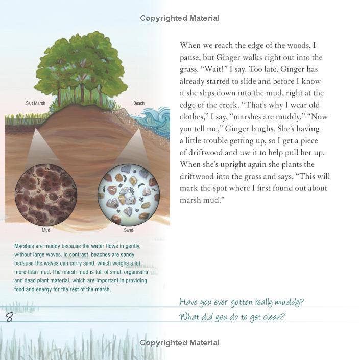 REMOVED BRAND - Wholesale Nature & Outdoors - And the Tide Comes In...: Exploring a Coastal Salt Marsh5