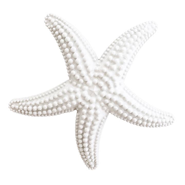 White Small Starfish - Decorative for wholesale by Abbiamo Tutto
