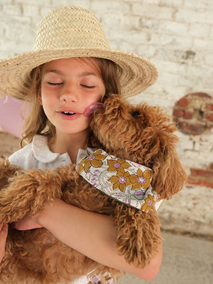 Bandana Perro Lurex camel para venta al por mayor de SO FAMILY