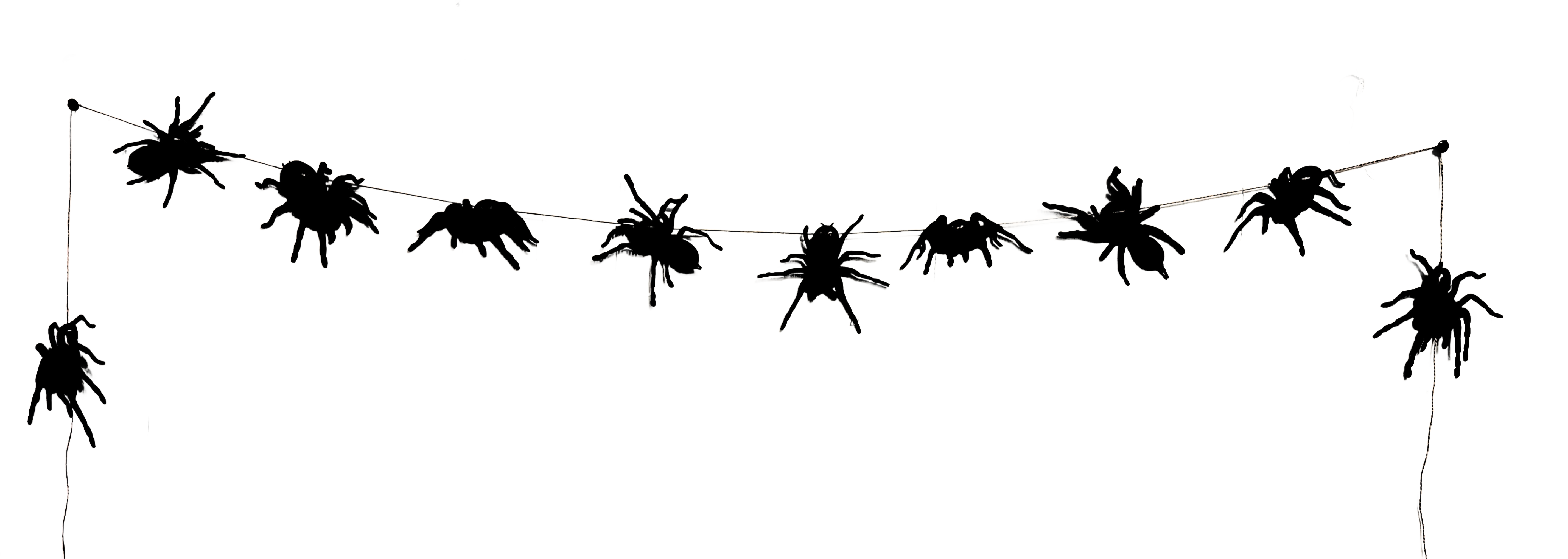 The Creative Garland Company - Wholesale Bunting/Garland - The Tarantula Spider Garland3