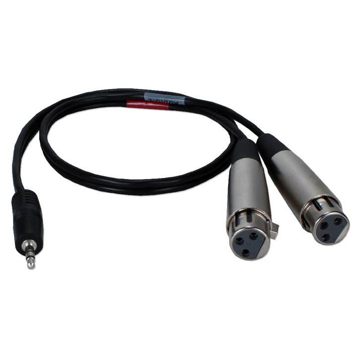 QVS Inc - Wholesale Cord - 2ft 3.5mm Male to Dual-XLR Female Dual-Microphone Audio
