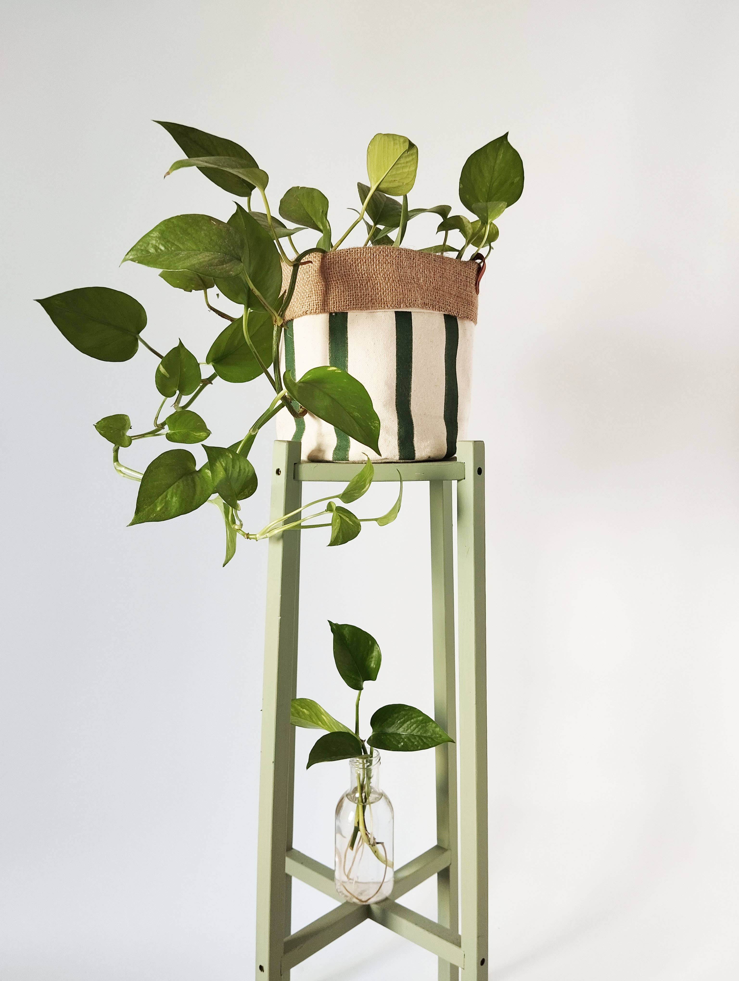 The Ink Job – Engroshandel Plantekrukke – Mellemstor indendørs plantepotte med striber5