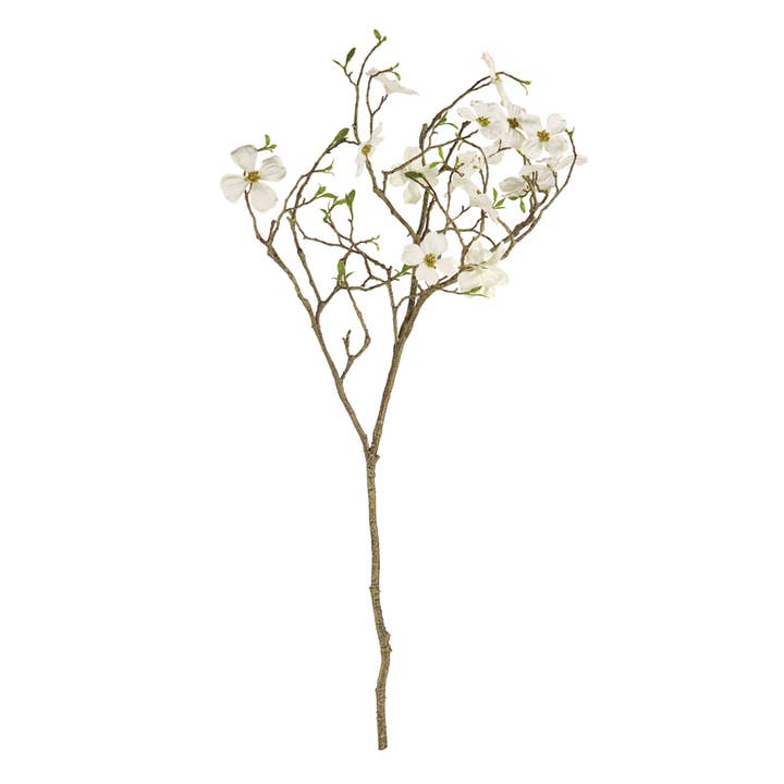 Dogwood Blossom Branch 40" for wholesale by Napa Home & Garden