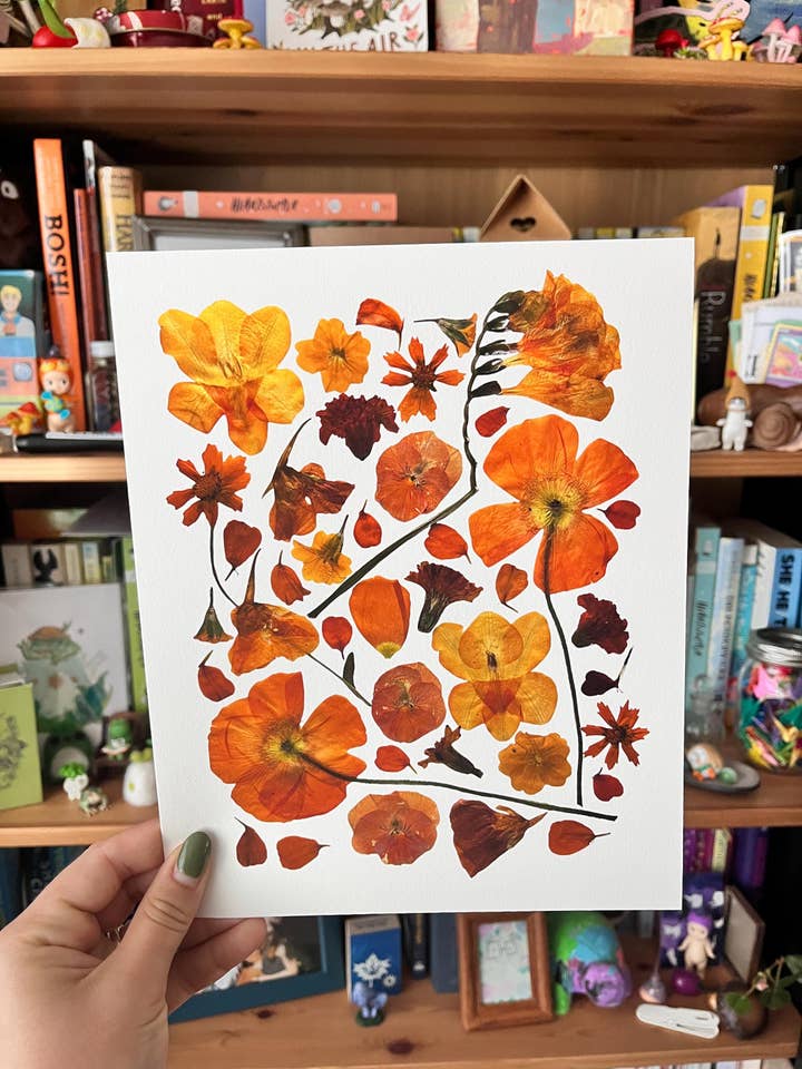 Pressed Flower Giclée Print: Poppies, Pansies, Freesia for wholesale by Owlhaired Designs