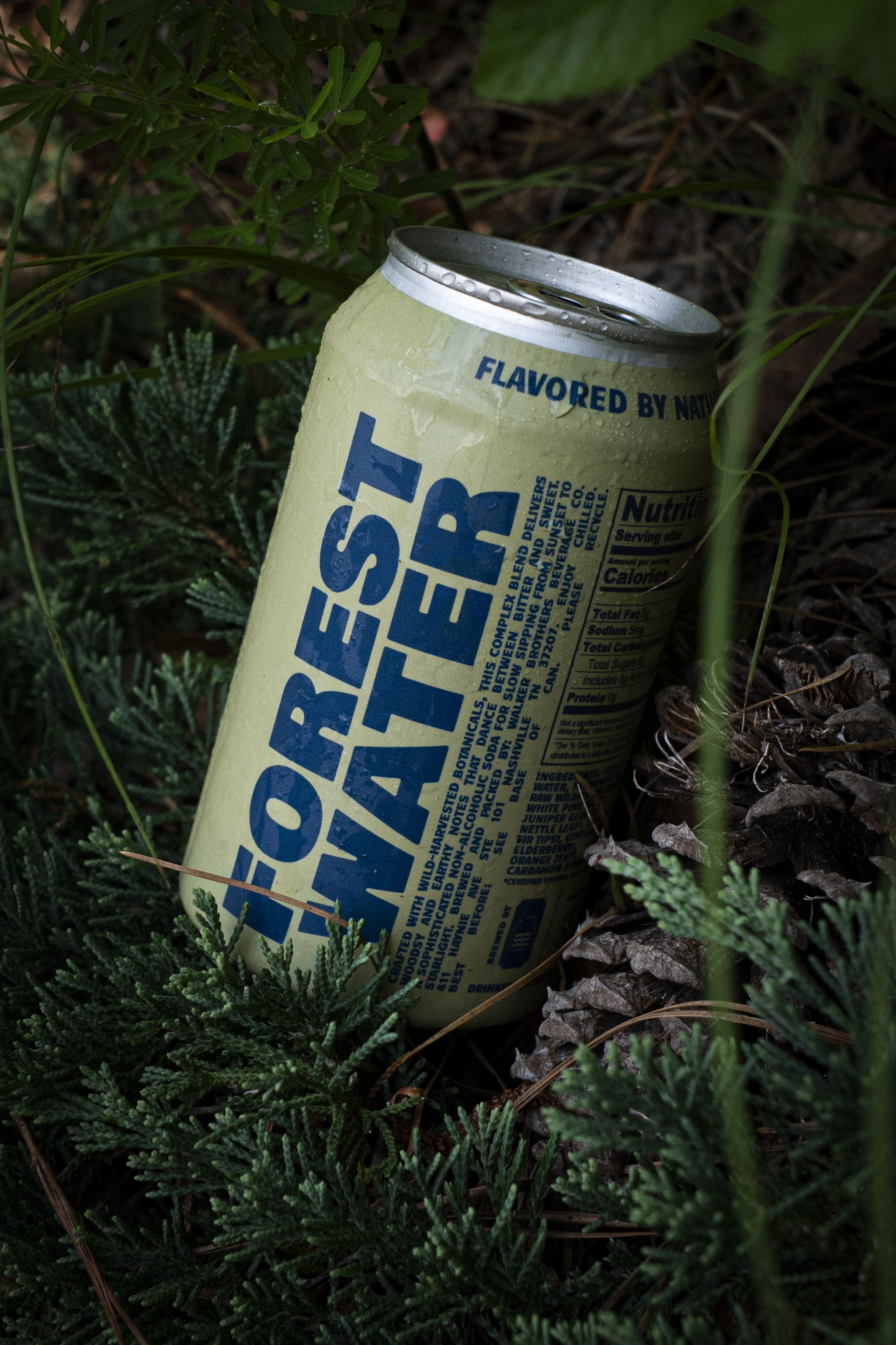 Walker Brothers - Wholesale Non-Alcoholic Aperitif/Mocktail - Alpine Forest Water | Non-Alc Botanical Soda2