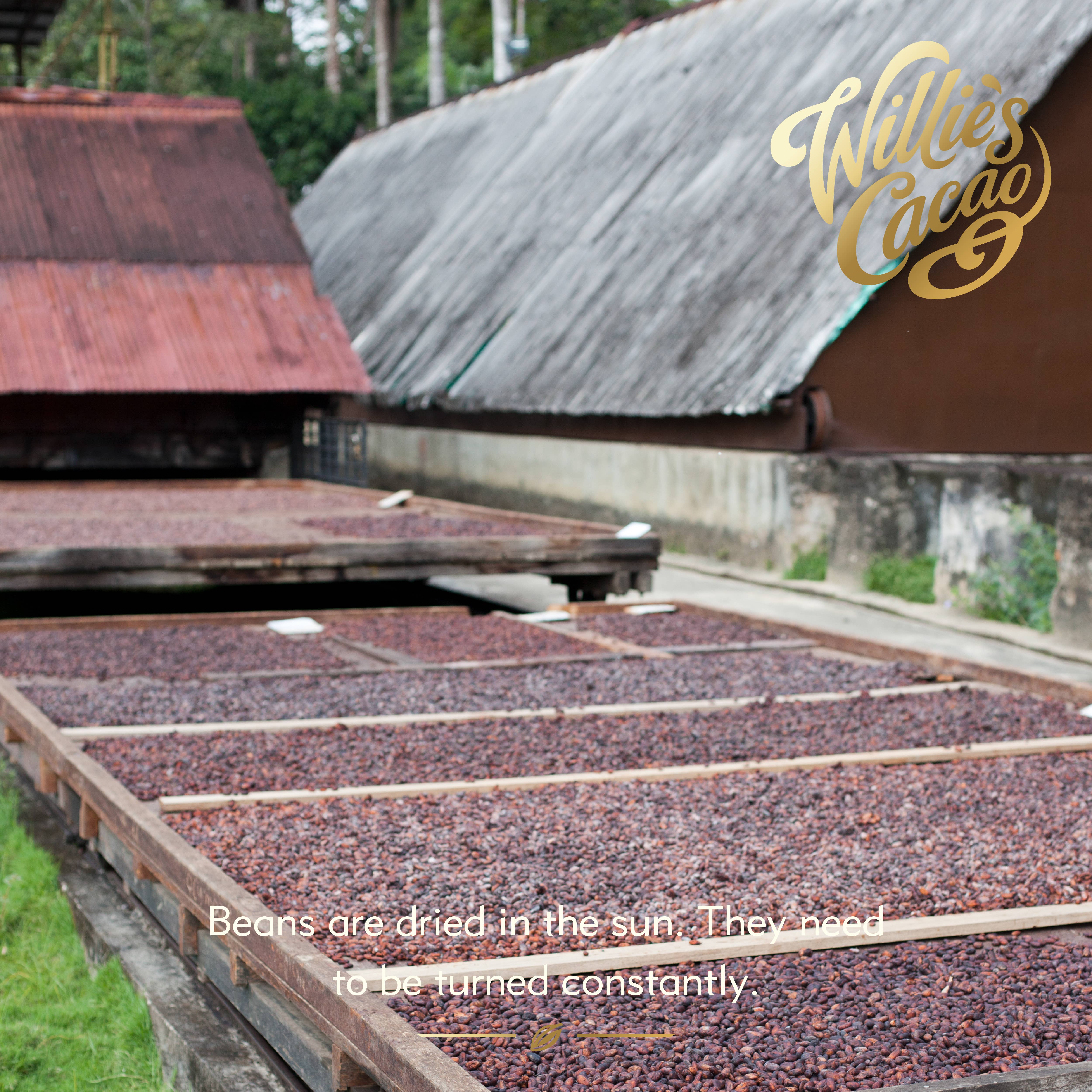 Willie's Cacao - Wholesale Chocolate Bar - Sea Flakes. Milk chocolate with Cornish Sea Salt. 26g bar6