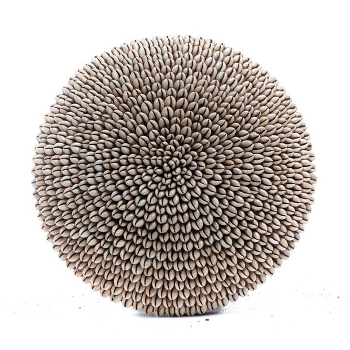 Bouclier en coquillage de cauri | Fabriqué par la tribu Tikar du Cameroun pour la vente par Luangisa African Gallery