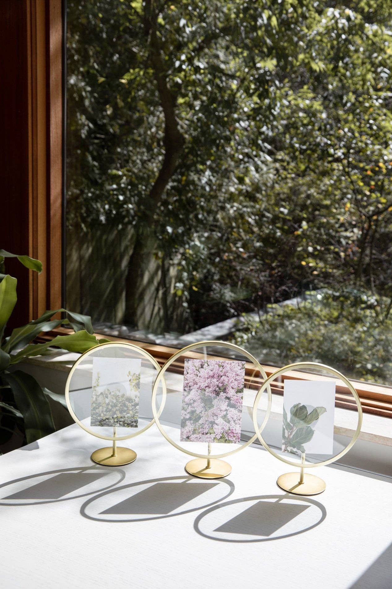 Black Infinity Floating Picture Frame for wholesale on Faire3