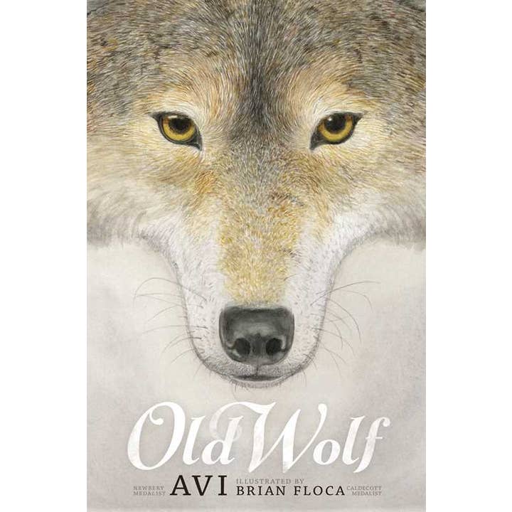 Simon & Schuster - Wholesale Book - Kids - Old Wolf by Avi