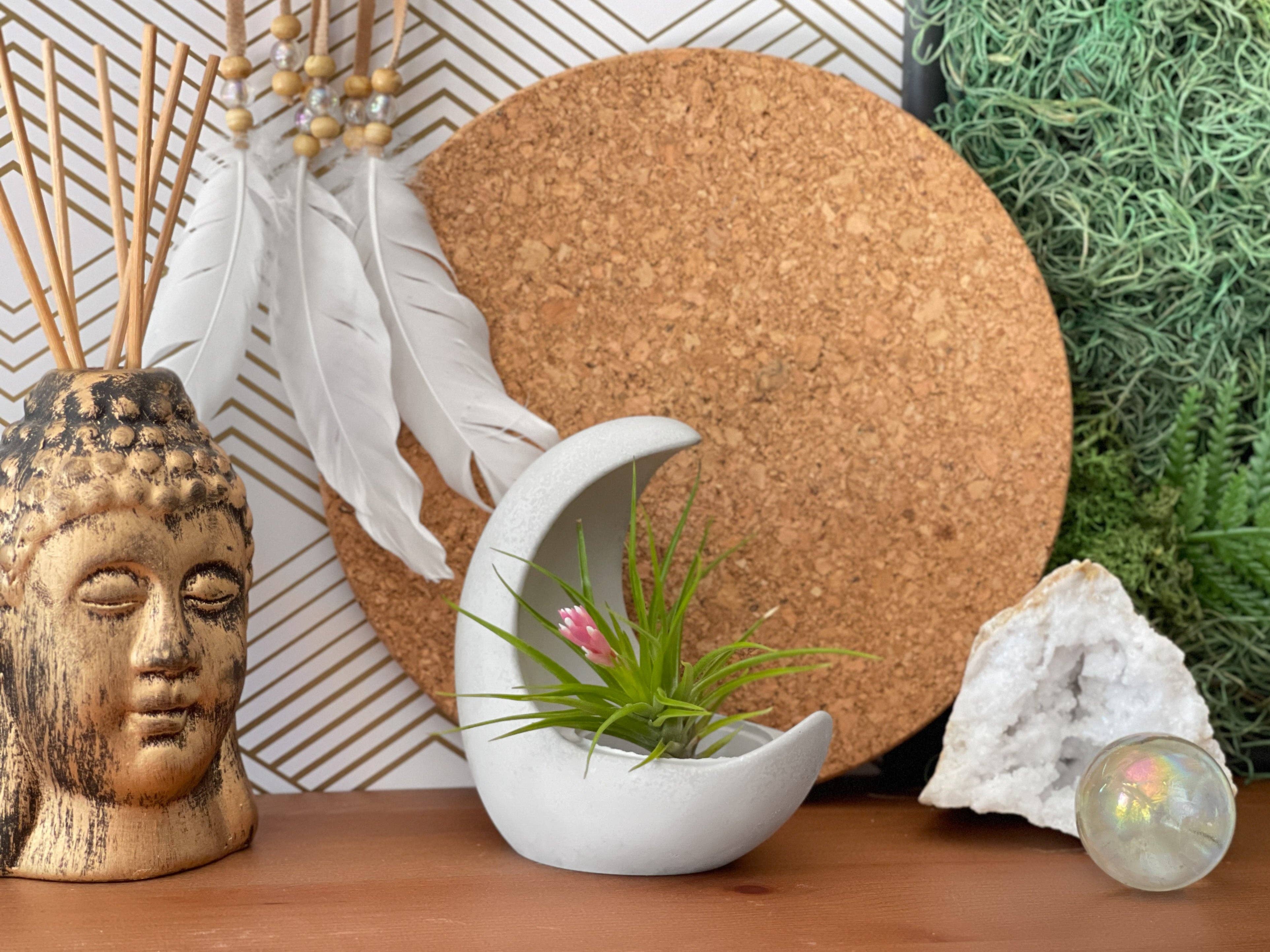 Planters Made in the USA - Wholesale Plantenpot - YOUNG MOON houder voor Tillandsia luchtplant2