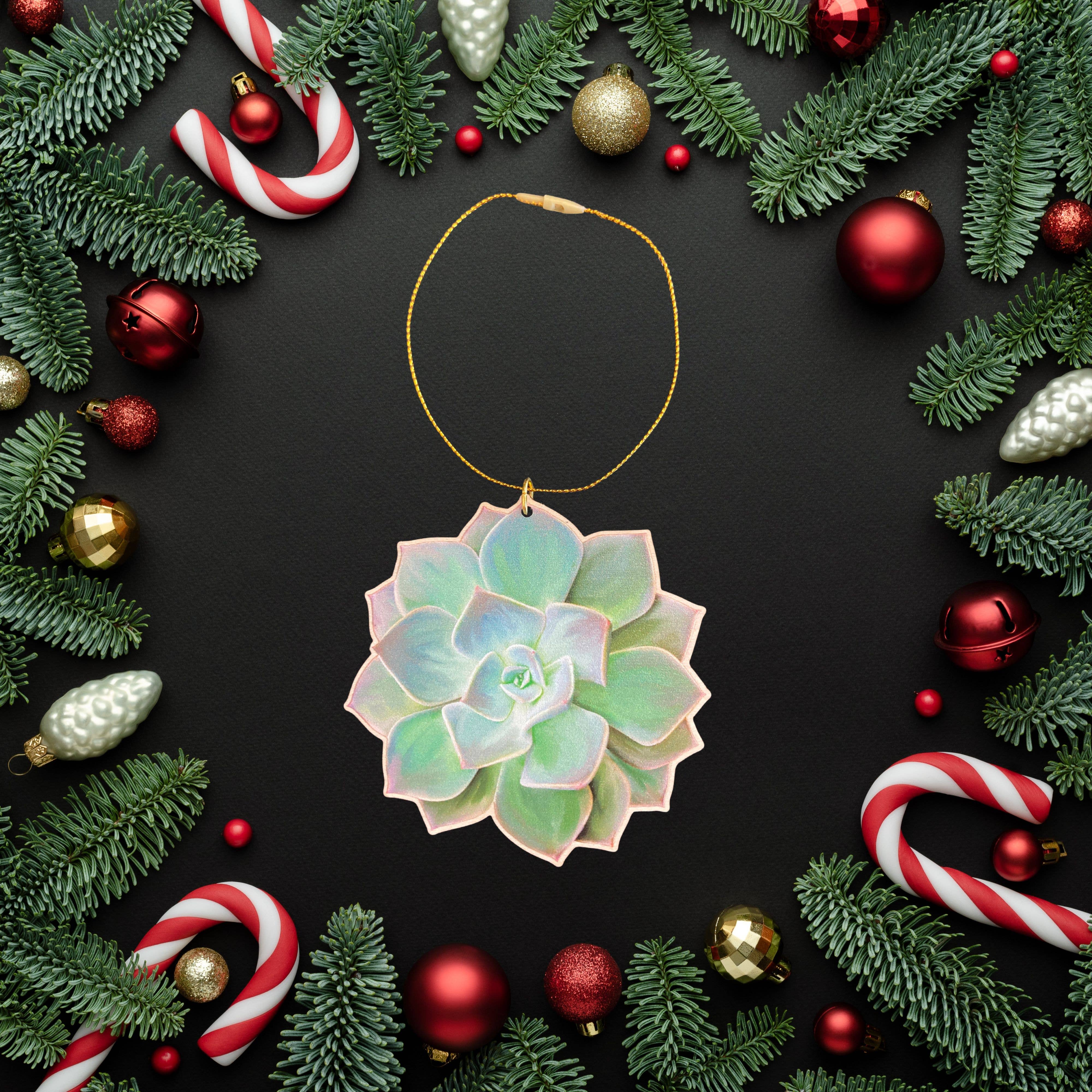 Plant Posse – Ornamento por atacado – Enfeite de Suculenta – Decoração de Plantas em Madeira Sustentável