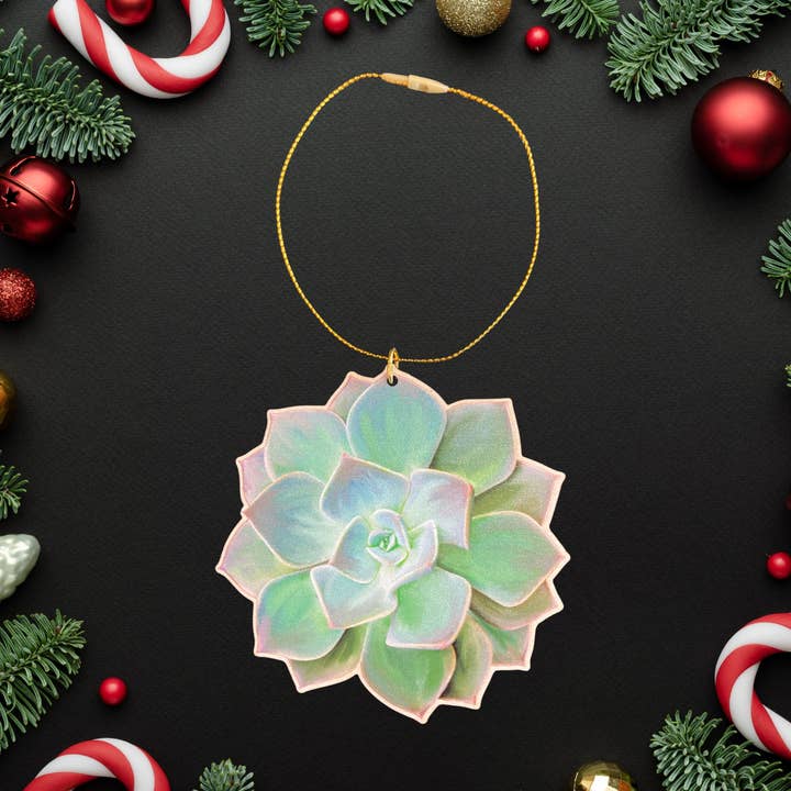 Plant Posse – Ornamento por atacado – Enfeite de Suculenta – Decoração de Plantas em Madeira Sustentável0