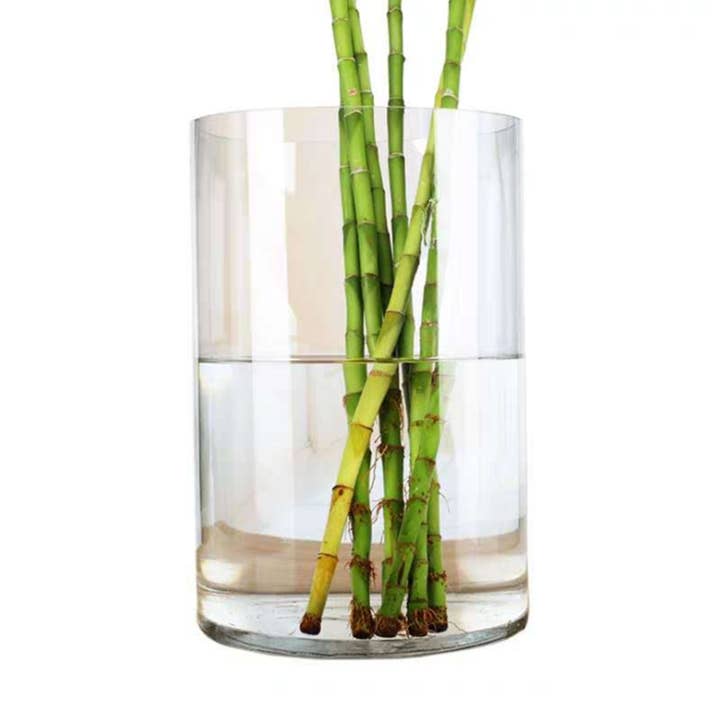WGV International - Wholesale Vase - WGV Clear Cylinder Glass Vase - 8" x 12"H