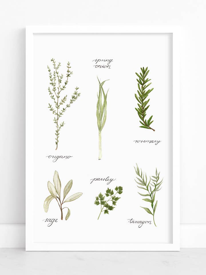 Herbs illustration watercolor art print for wholesale by StudioReta