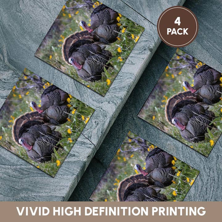 3dRose - Wholesale Coasters - 3dRose, Tom turkeys in breeding plumage in Great Basin NP, Nevada, USA, Coaster5