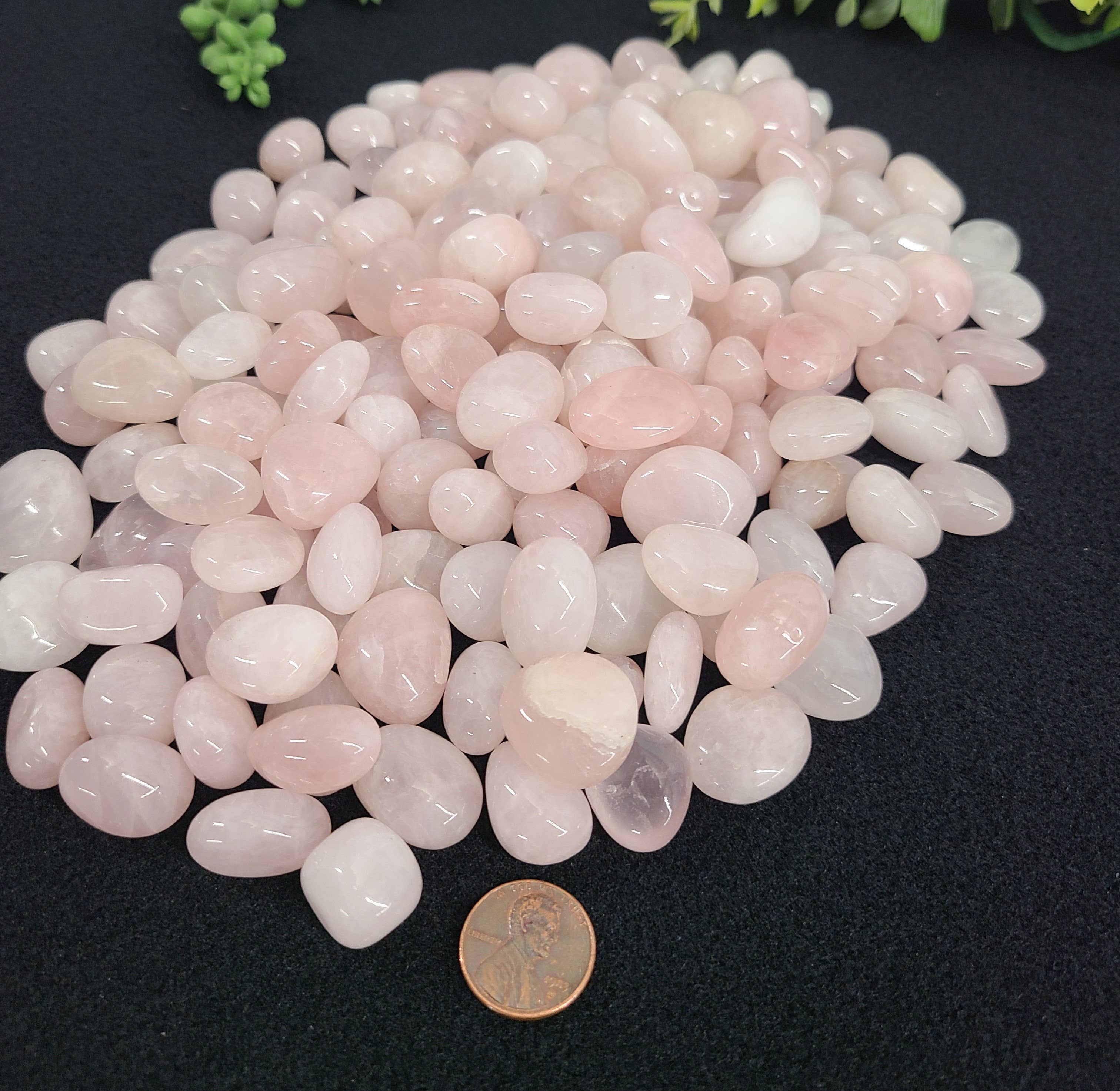 Meraki Gemstones - Wholesale Spiritual Stone/Crystal - Rose Quartz Tumbled (1kg/2.2 lbs.) Stone 20-25mm1